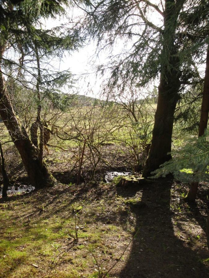 Ferienwohnung Wandervogel Braunlage Esterno foto