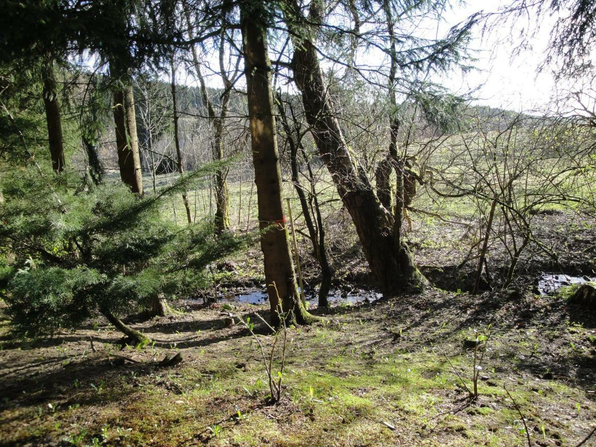 Ferienwohnung Wandervogel Braunlage Esterno foto