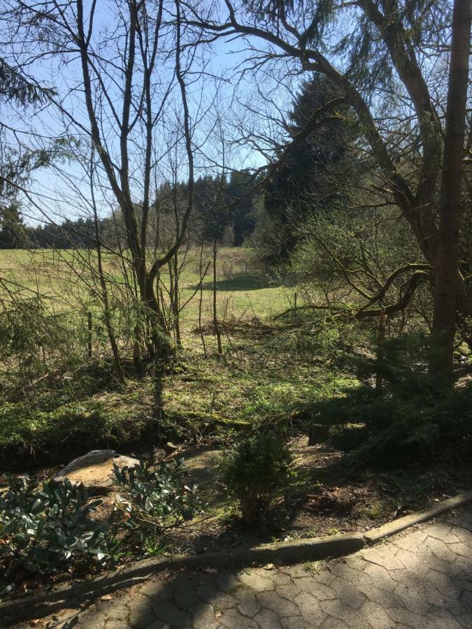 Ferienwohnung Wandervogel Braunlage Esterno foto